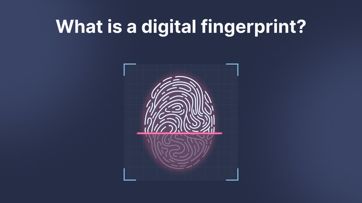 Fingerprinting: A Complete Guide 2024